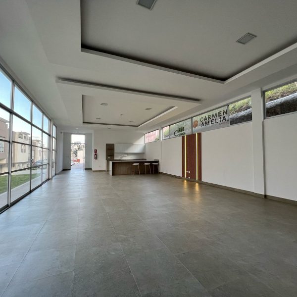 Sala Comunal Carmen Amelia