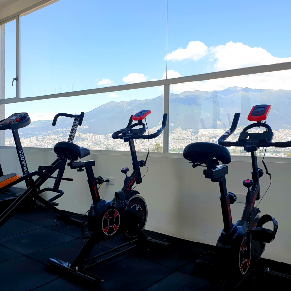 Gimnasio